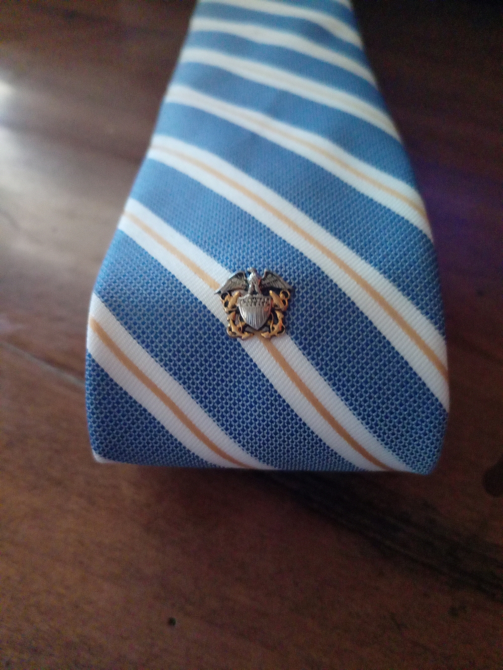 Goodfellow & Co Light Blue and White Striped Tie with Gold Crest Pin